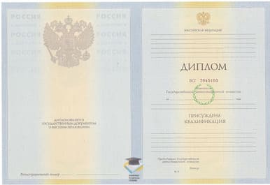 Диплом НМИ 2010-2011 годов